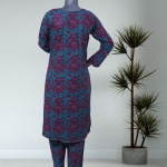 OG-008-2 Piece Printed Stitched Co-Ords